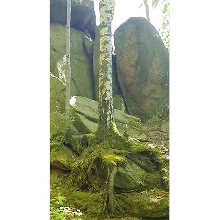 아파트 Neu! Yuva *